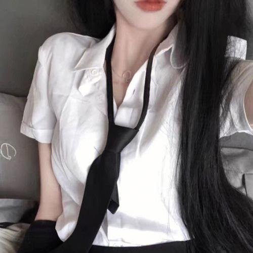 制裁者：赃物清洁 海报